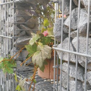 Gabionen_Produkt5